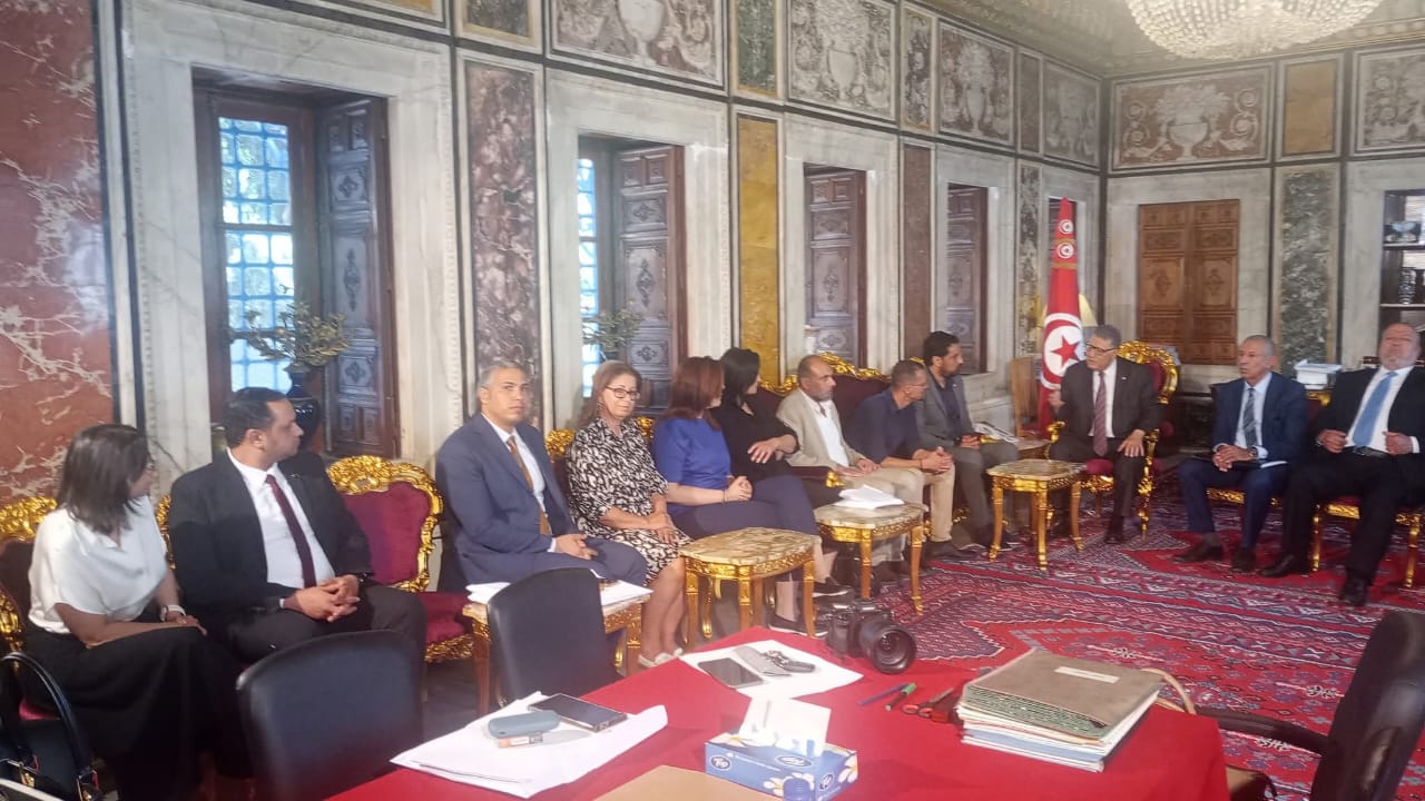 Najet Brahmi, invited by the Assembly of the Representatives of the People, to give her opinion on the draft law relating to the reform of article 96 of the penal code.